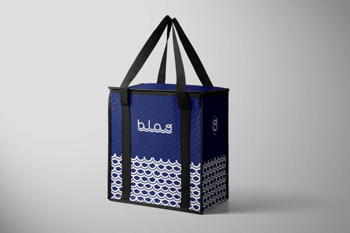 Projet BLAO 