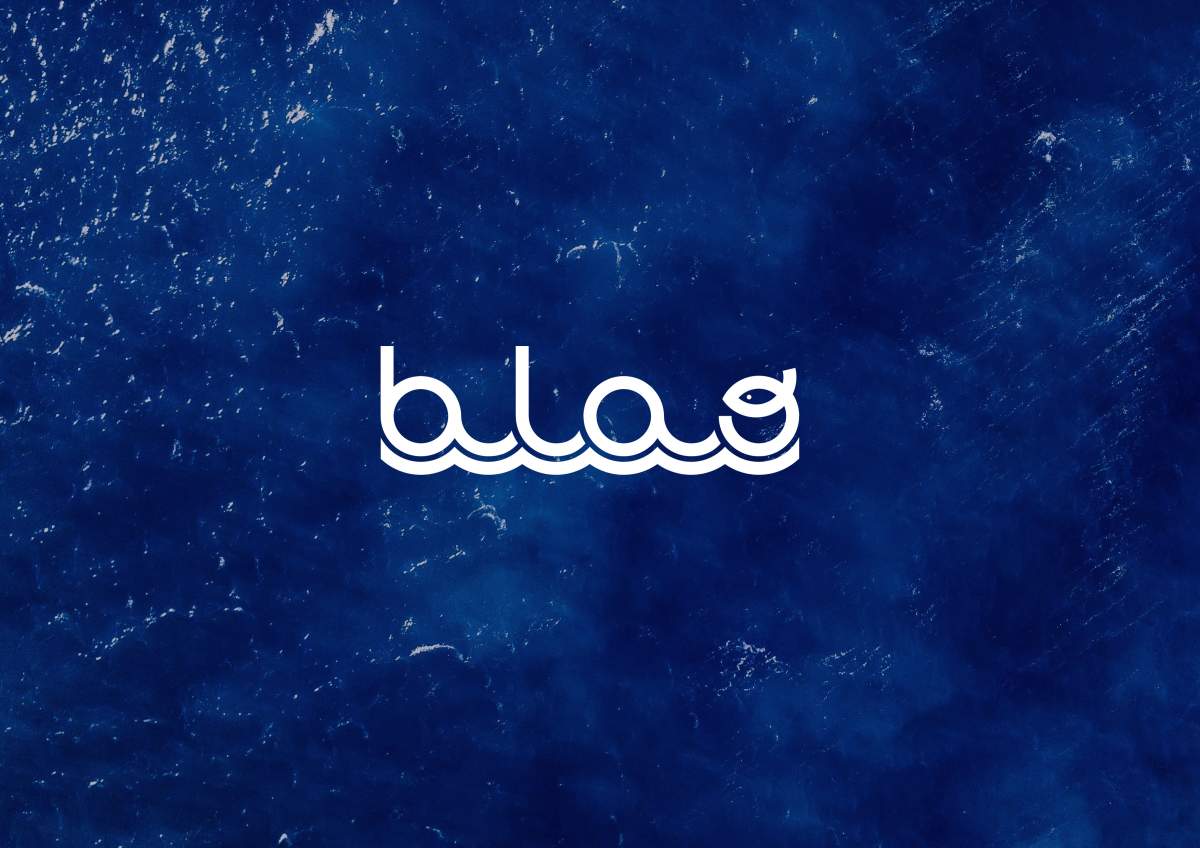 Projet BLAO 